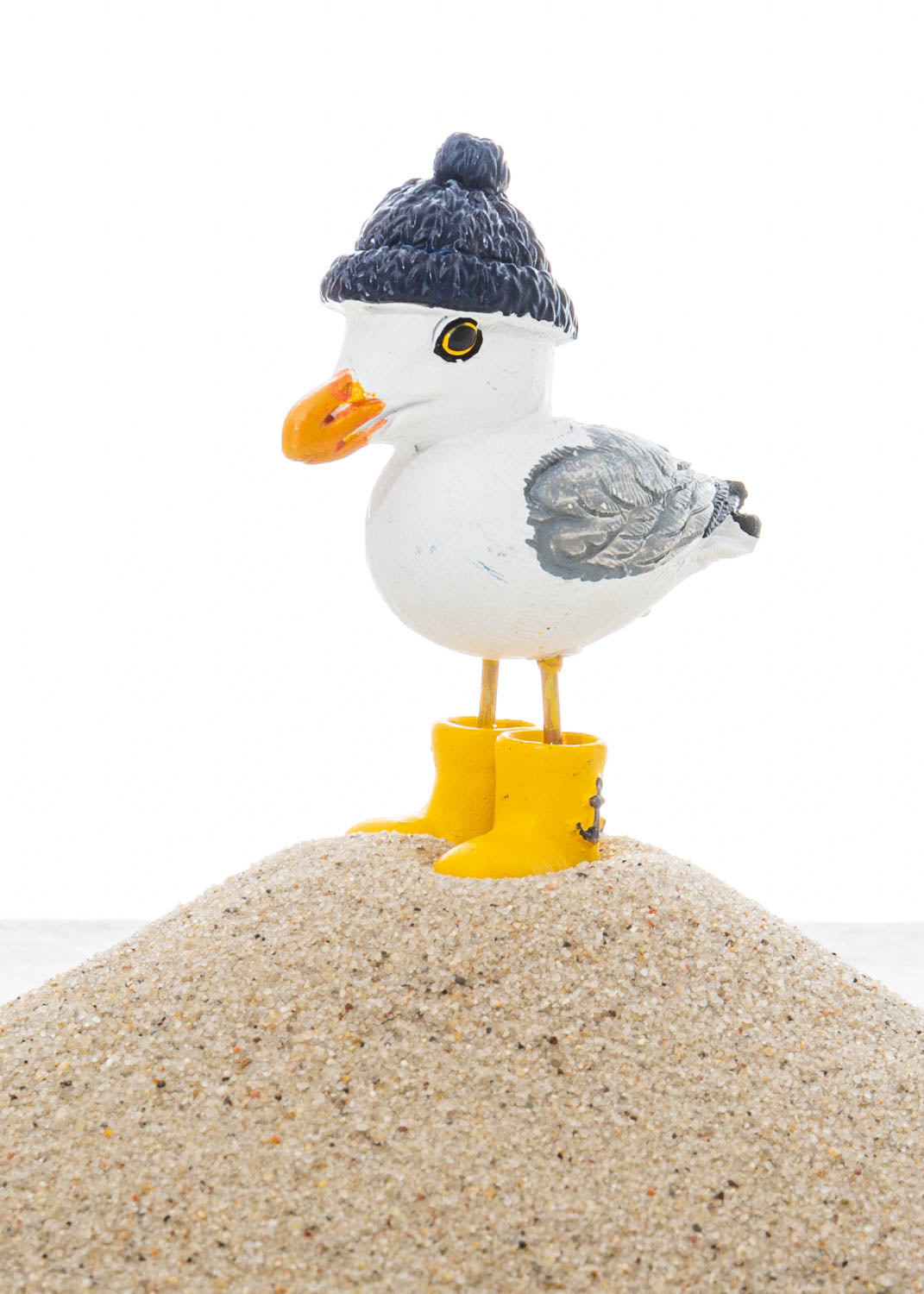 Kleine Möwe mit Mütze