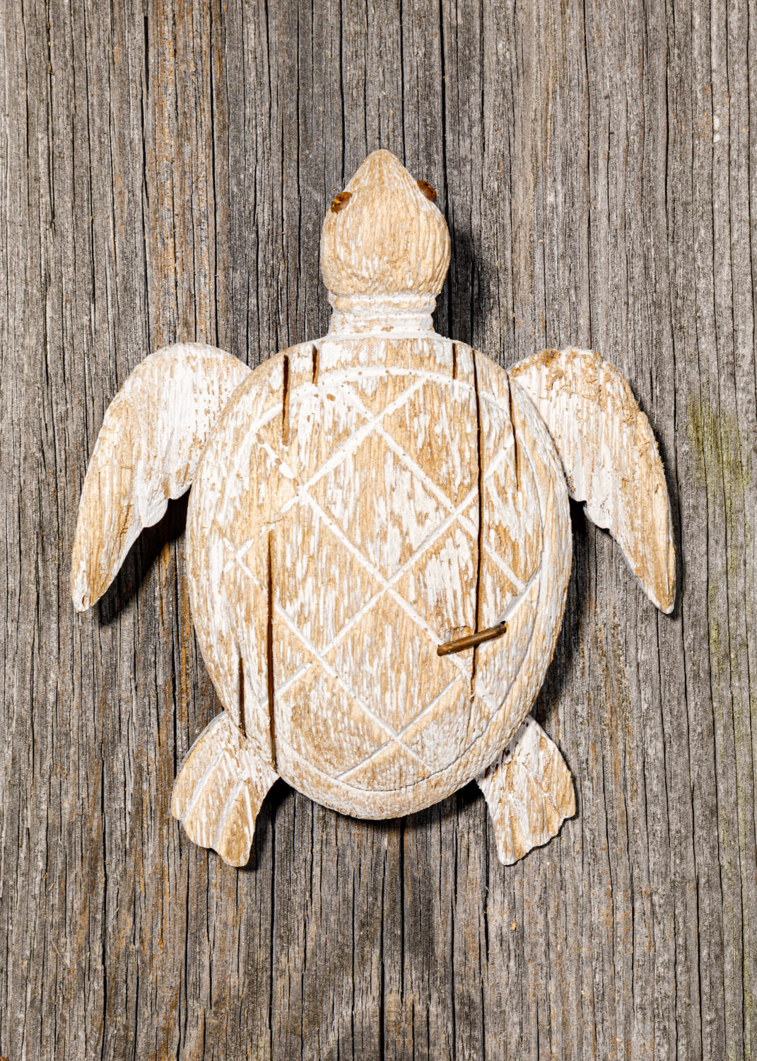 Schildkröte Holz Deko