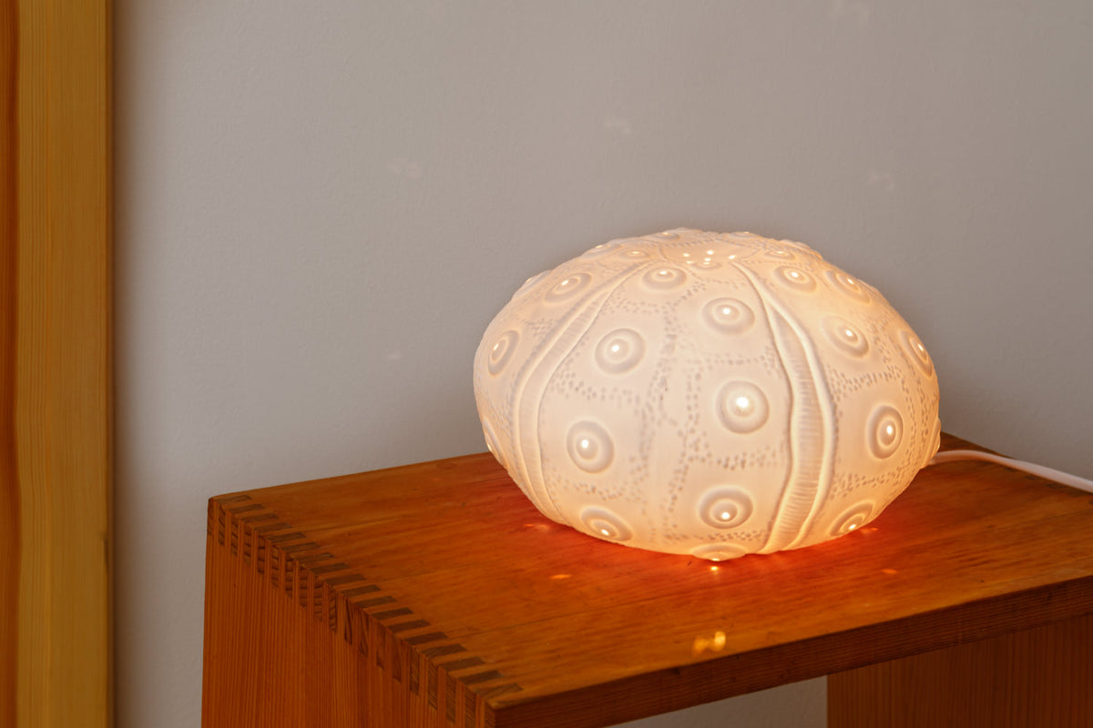 Lampe Seeigel klein