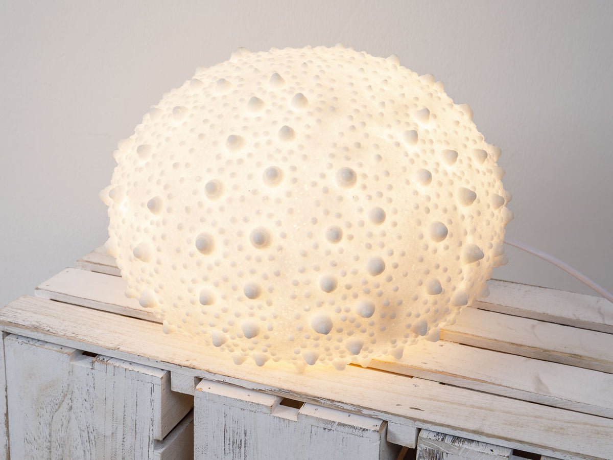 Seeigel Lampe, klein