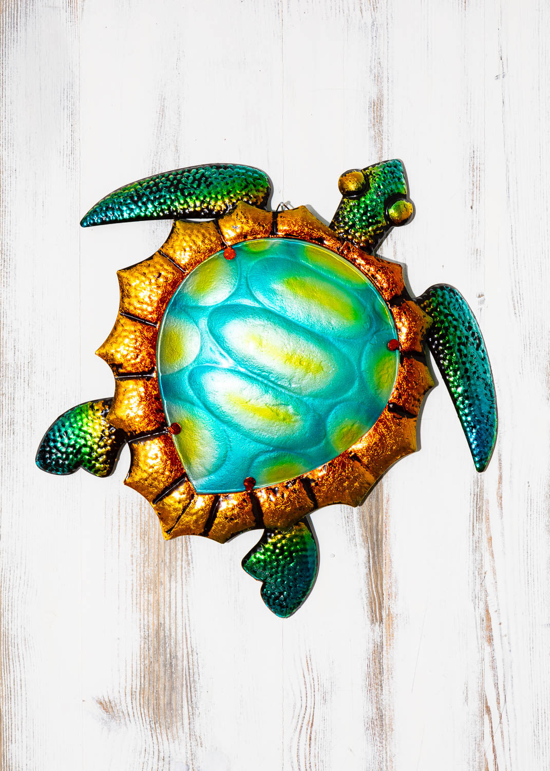 Wanddeko Schildkröte
