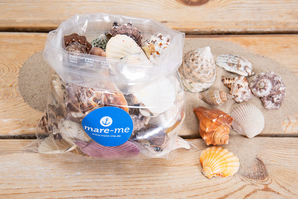 Deko Muschelmix groß 1kg