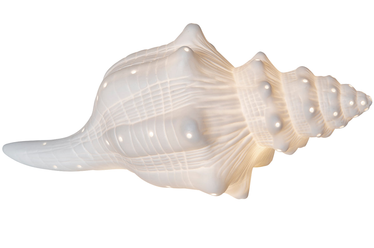 Lampe Muschel