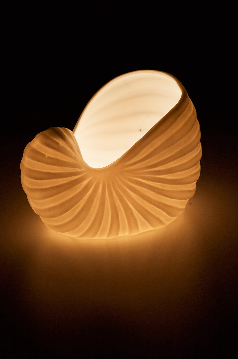 Muschelhorn Teelichtlampe