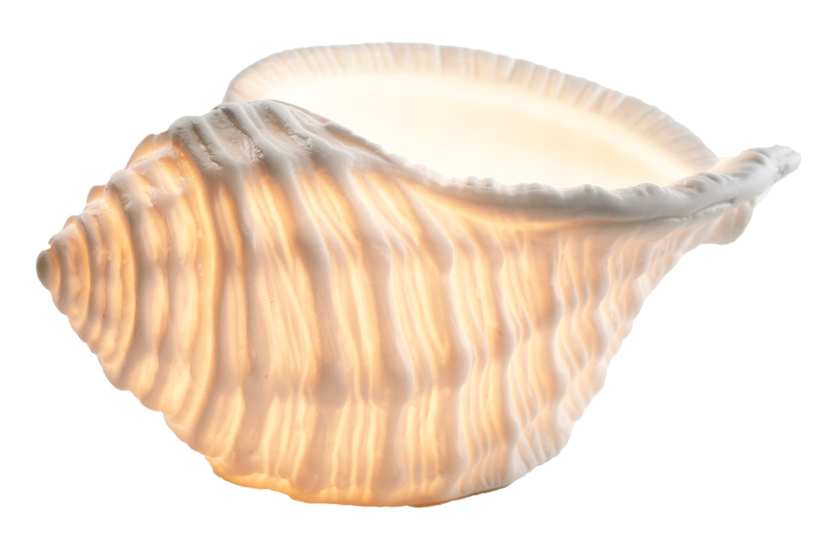 Teelichtlampe Muschel