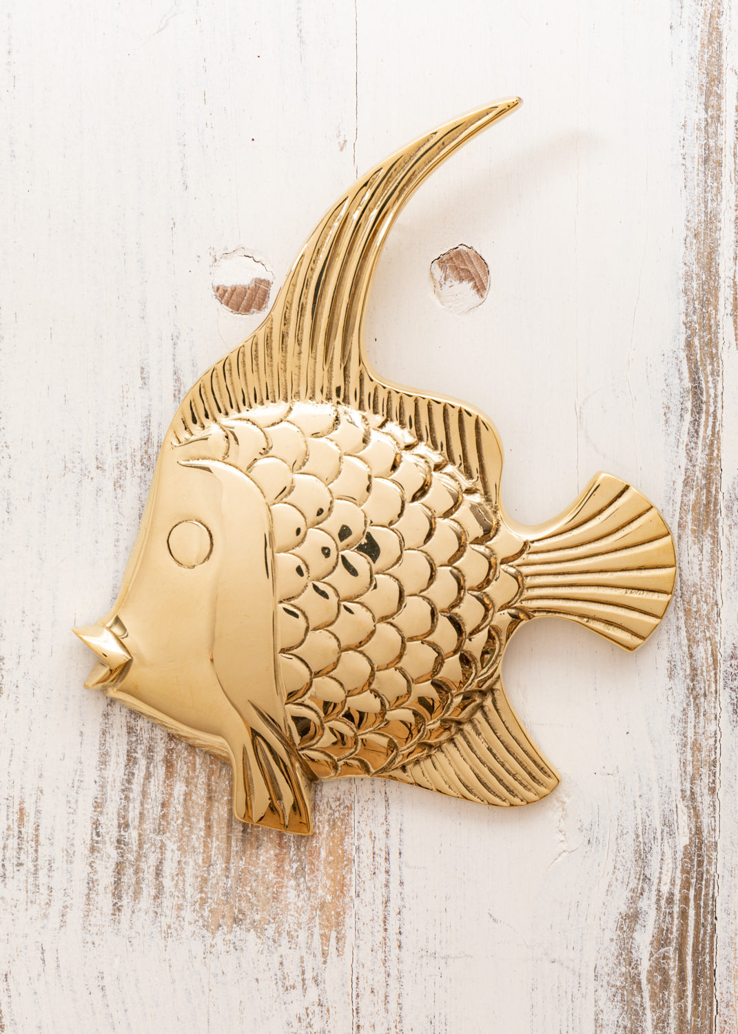 Fisch Wandhänger