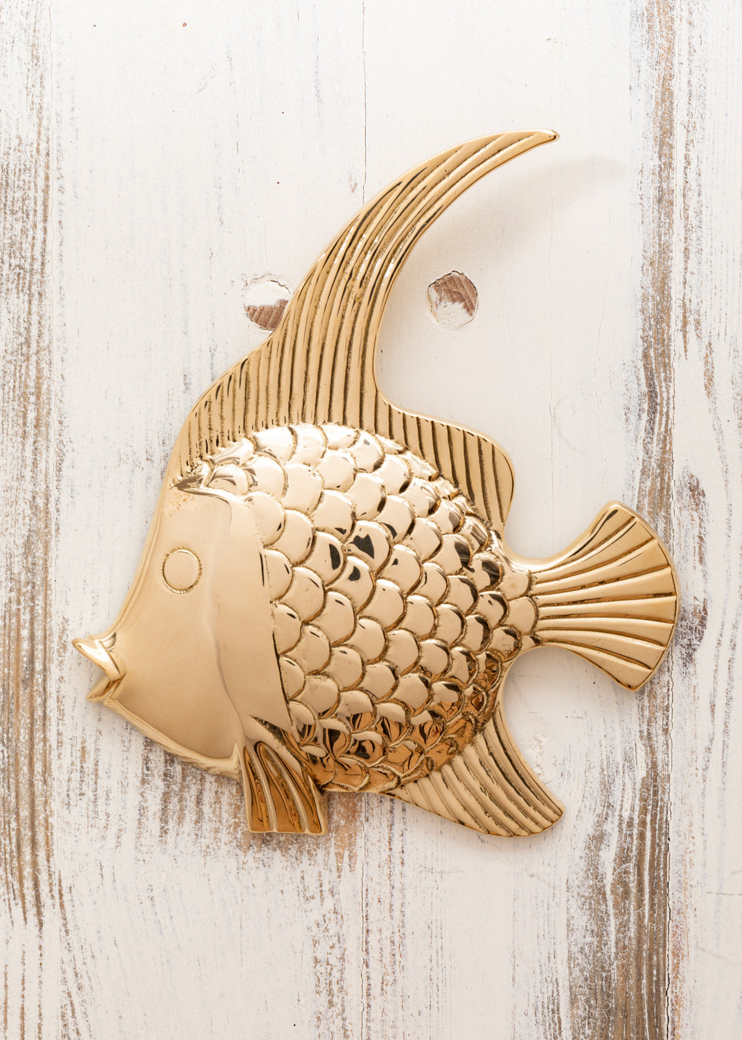 Wandhänger Fisch Deko