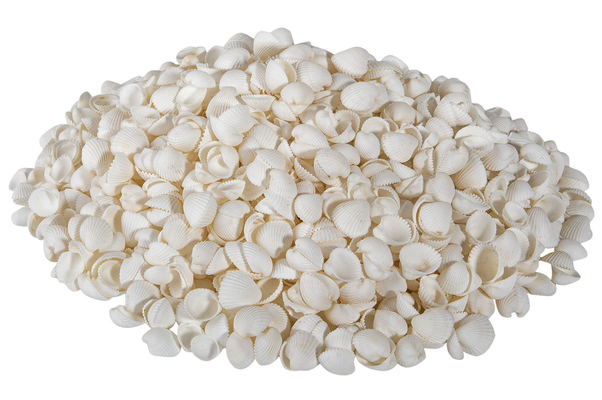 Mini Herzmuscheln, weiß, 250gr.