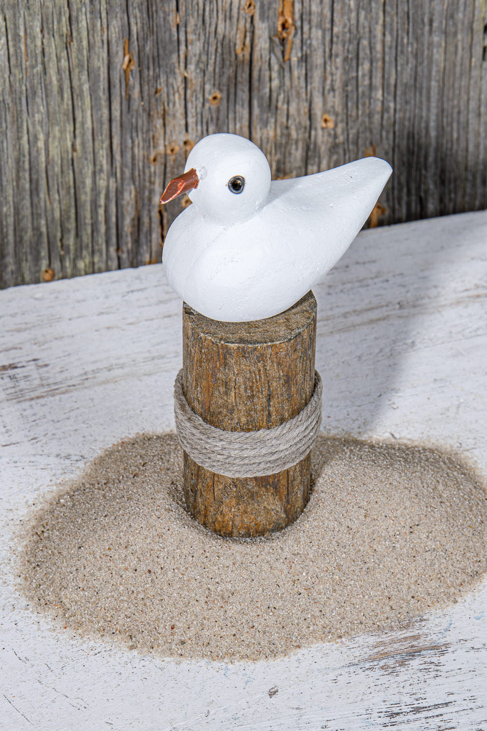 Kleine Möwe auf Holzpfahl Poller