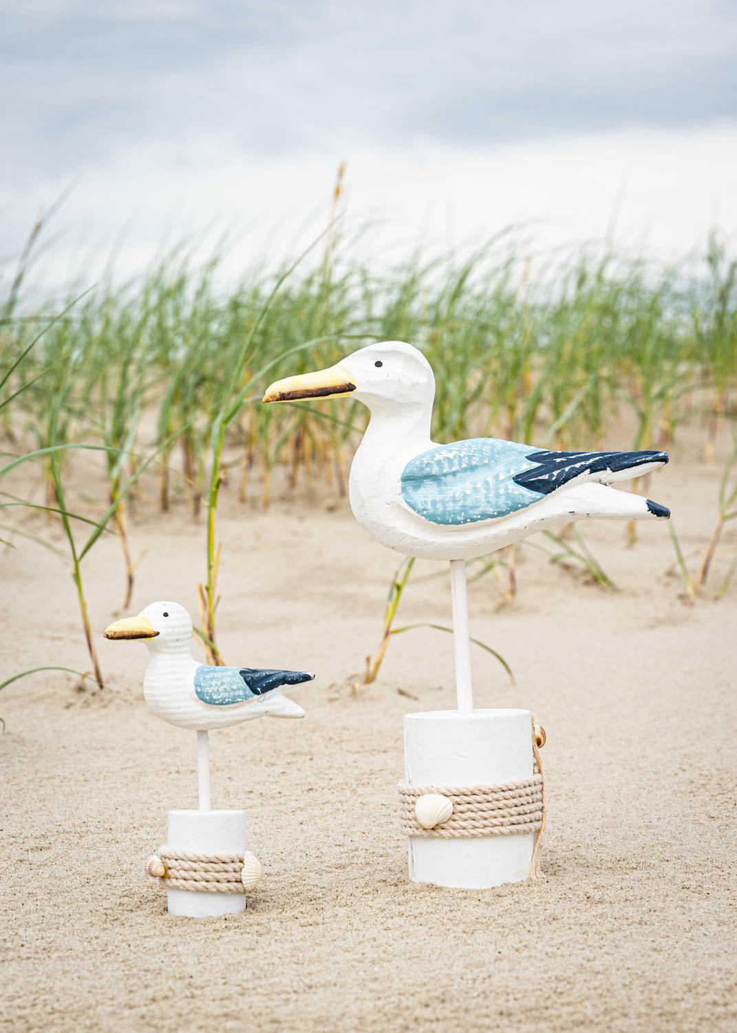 Möwe auf Poller