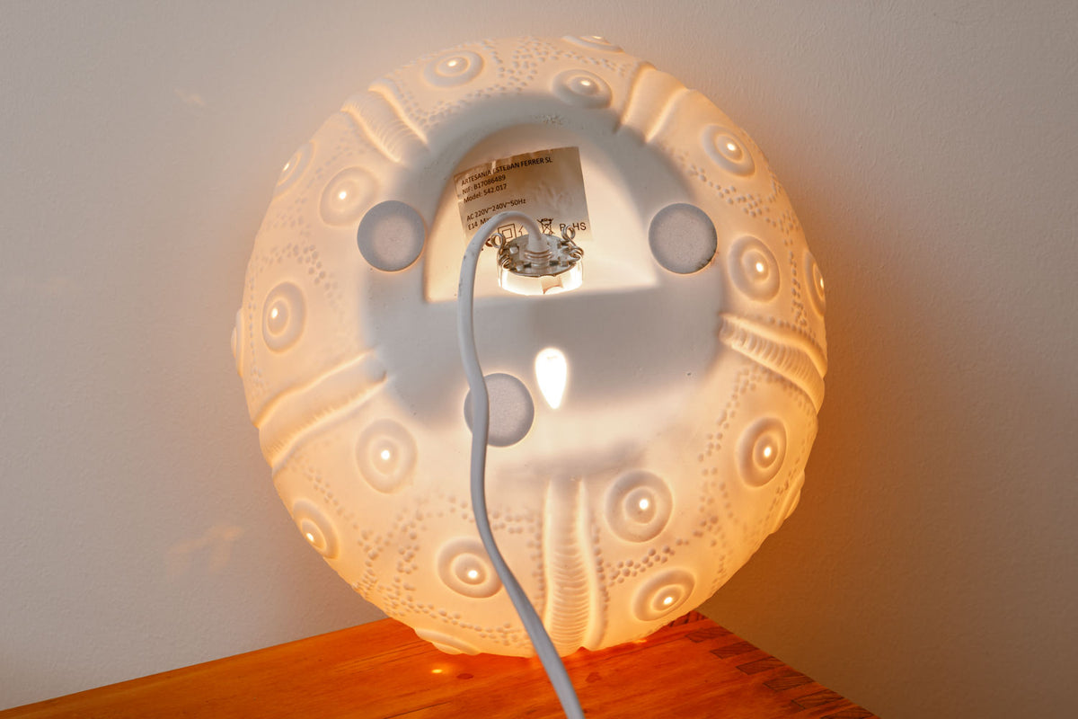 Lampe Seeigel klein